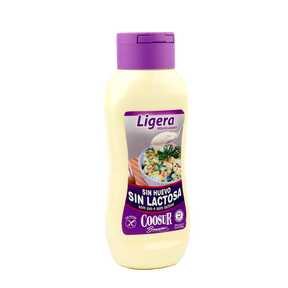 Salsa Ligera sin Huevo y sin Lactosa